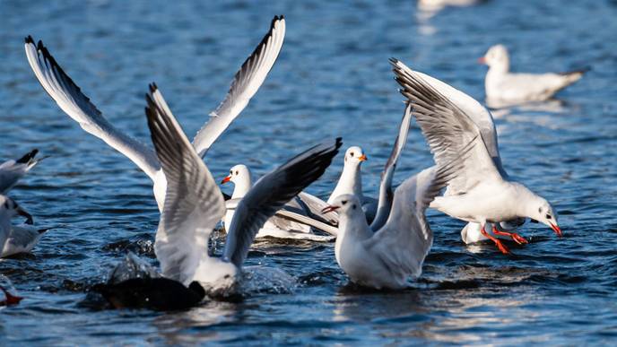 ReachMD Healthcare Image