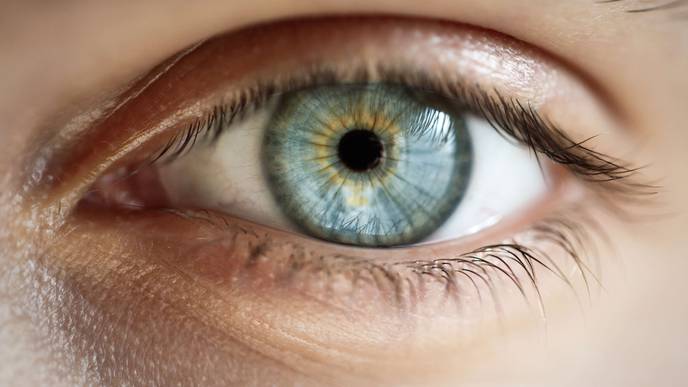 An Advance in Developing Gene Therapy for X-Linked Retinitis Pigmentosa