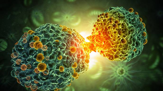 ReachMD Healthcare Image