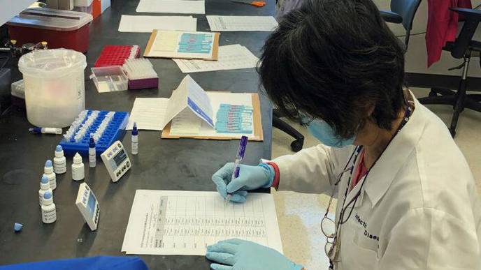 COVID-19 Antibody Tests Evaluated as Diagnostic Test in Low-Resource Settings