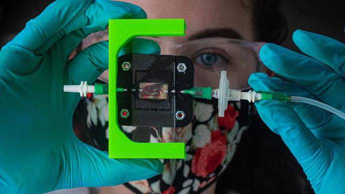 ReachMD Healthcare Image