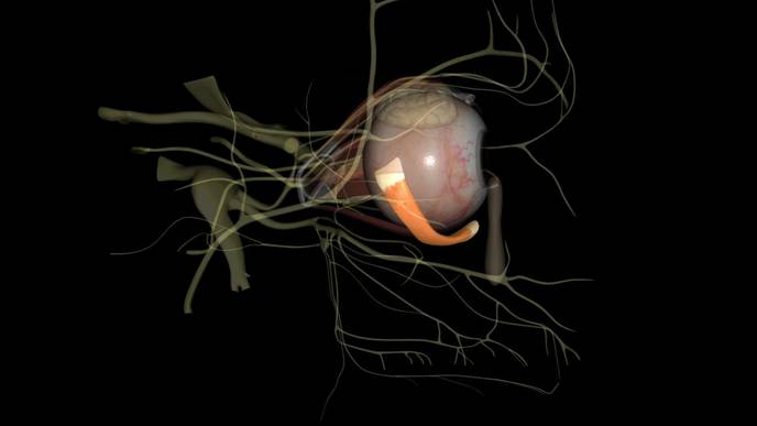 ReachMD Healthcare Image