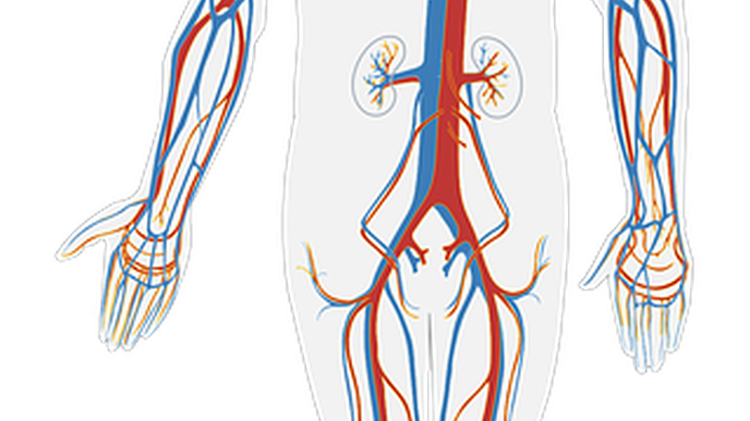 ReachMD Healthcare Image