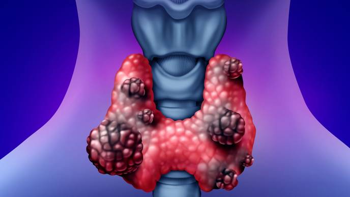 ReachMD Healthcare Image