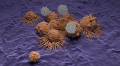ReachMD Healthcare Image
