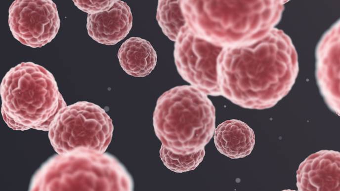 ReachMD Healthcare Image