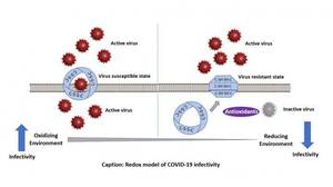 Adapting Care for Breast Cancer Patients Amid COVID-19