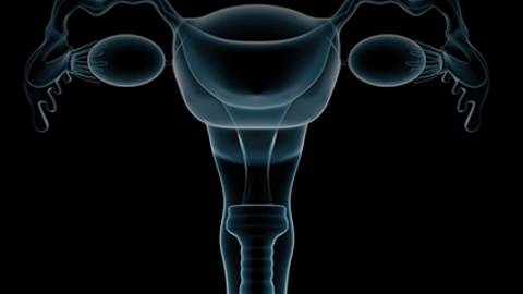 From Silent Killer to Treatable Disease: Improved Detection Methods for Ovarian Cancer