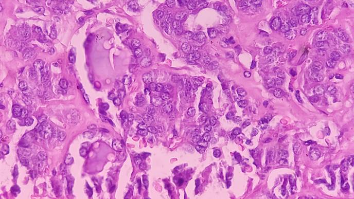 ReachMD Healthcare Image