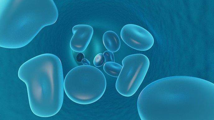 Novel Antibody Drug Wakes Up the Body's Defense System in Advanced-Stage Cancer