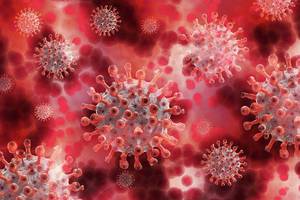Primary HPV Screening: A Nurse Practitioner’s Perspective