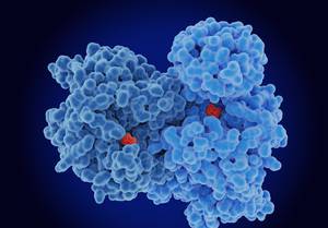 How Do I Optimize Treatment in Patients With Myelofibrosis and Moderate to Severe Thrombocytopenia?