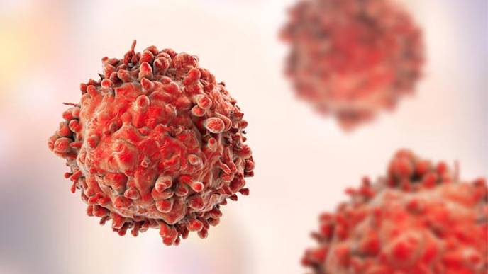1 Dose of HPV Vaccine as Effective as Multiple