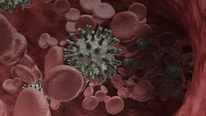Adjuvant Nivolumab Alone or in Combination with Ipilimumab Versus Placebo in Stage IV Melanoma with No Evidence of Disease: Overall Survival Results of IMMUNED, a Randomized, Double-Blind Multi-Center Phase 2p DeCOG Trial