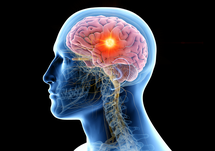 Decision in Context: A Practical Framework for Sequencing Systemic and CNS Therapies in Brain Metastases