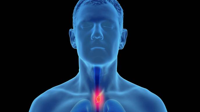 ReachMD Healthcare Image