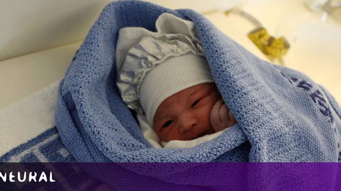 This AI Detects Eye Disease in Newborn Babies