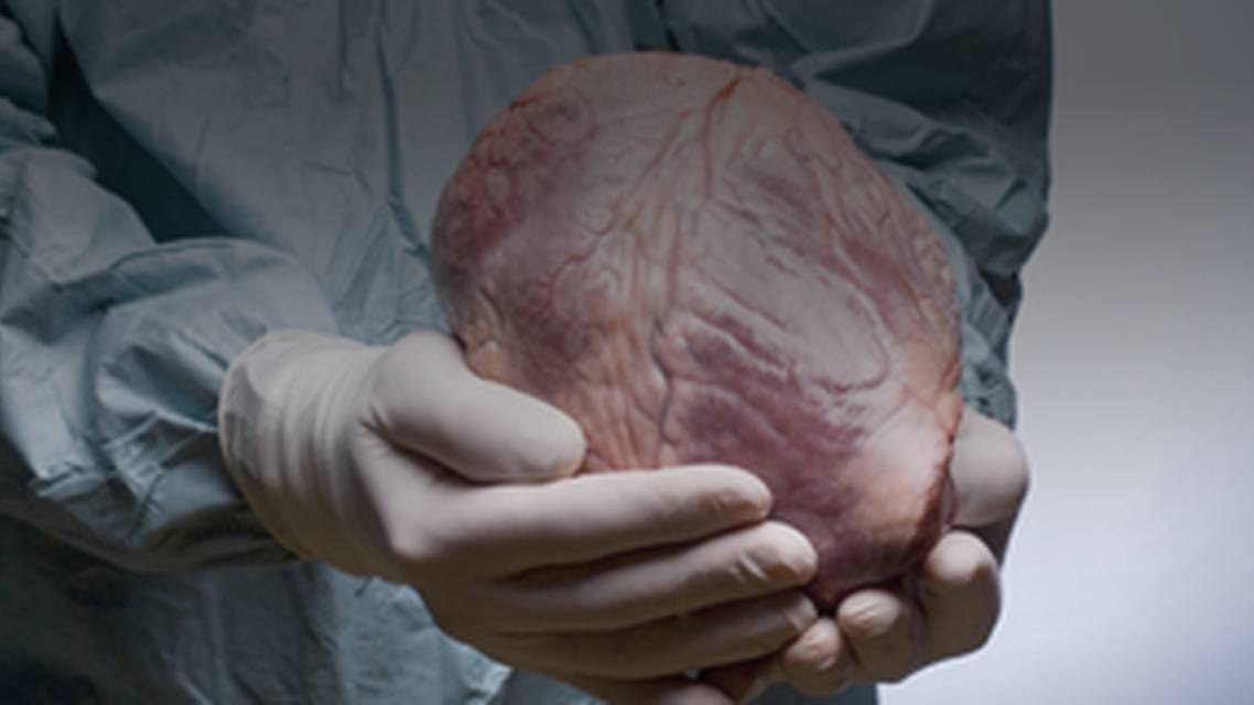 ReachMD Healthcare Image