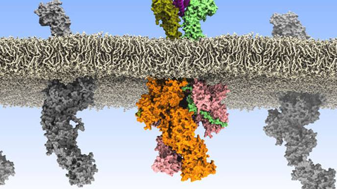 How Rogue Communications in Blood Stems Cells Cause Leukemia