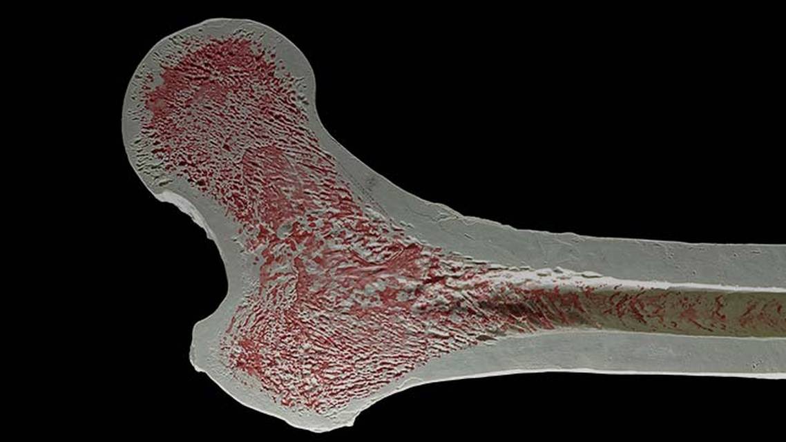 ReachMD Healthcare Image