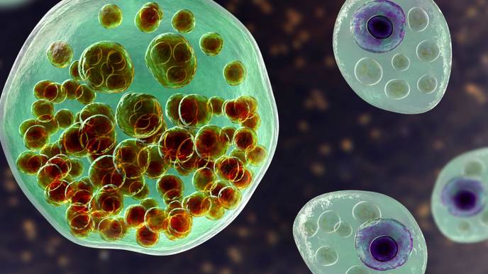 ReachMD Healthcare Image