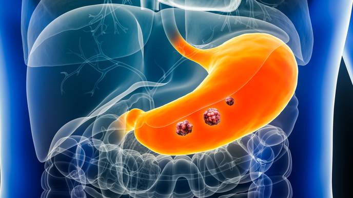 ReachMD Healthcare Image