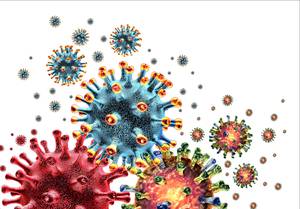 Exploring Fungi in Cancer-Type Tumors & Cancer Therapeutics