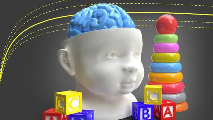 Normal Brain Growth Curves for Children Developed Childhood Brain Disorders, Infections & Injuries