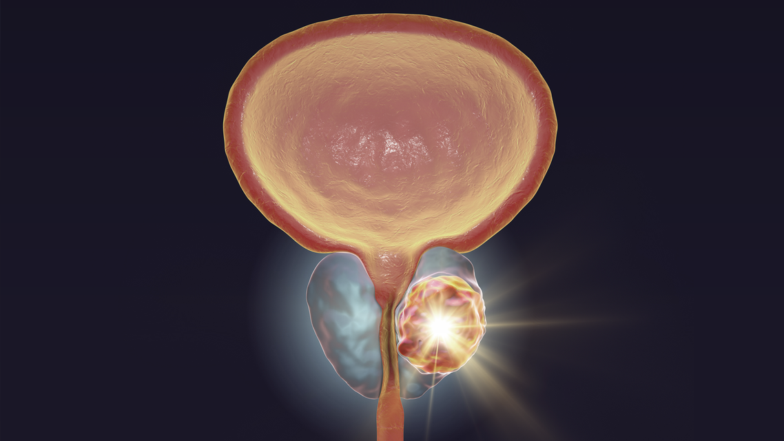 ReachMD Healthcare Image