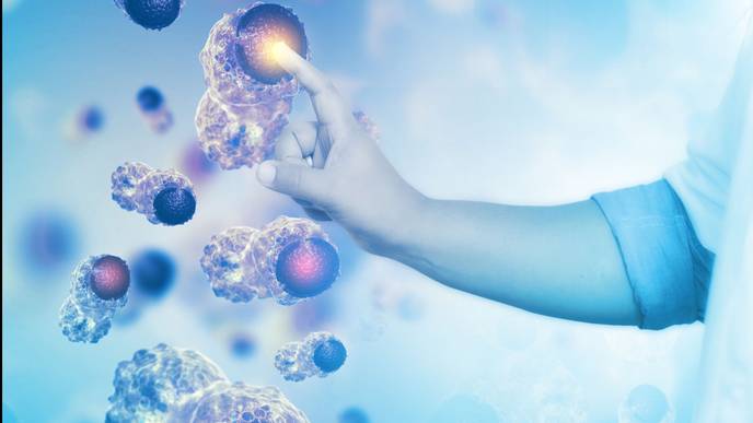 ReachMD Healthcare Image